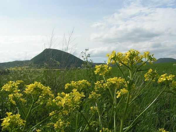 LIPSKÁ HORA 688 M